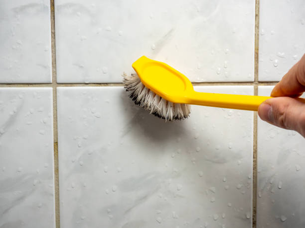 Best Mold Testing  in Davie, FL