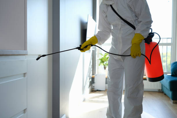 Best Mold Cleaning Services  in Davie, FL